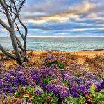 San Diego - Carlsbad - Canon Cliffs - Self Awareness