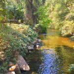Chico Property | Emerald C Ranch | River Park