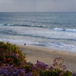 BTS CARLSBAD PENTHOUSE WITH OCEAN VIEWS (1)